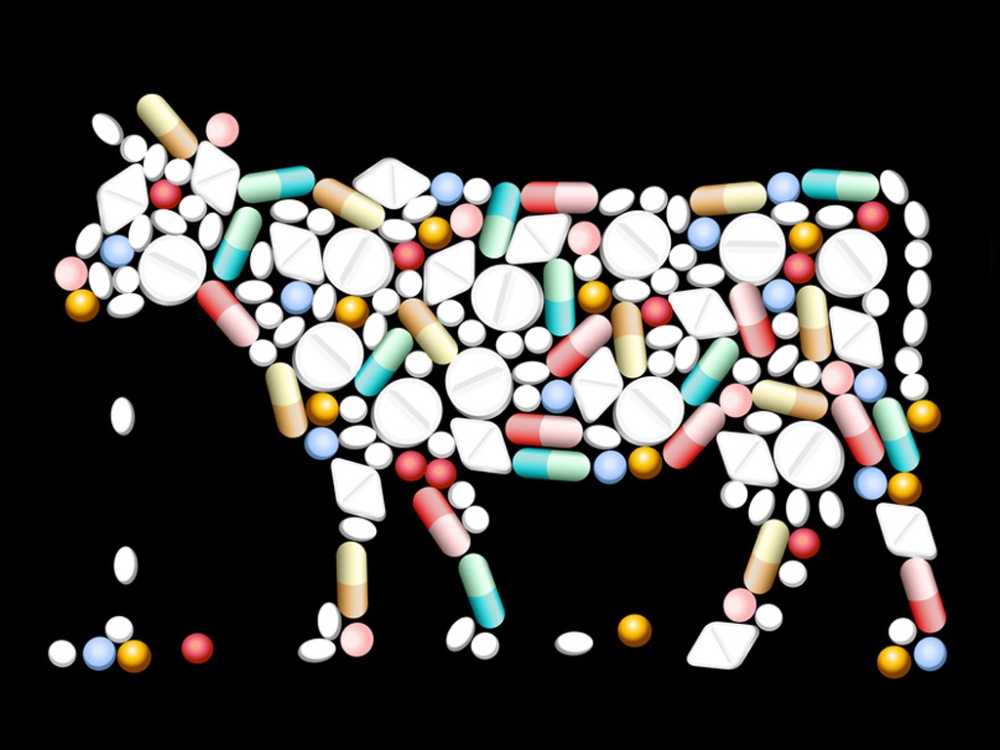 Viandes-antibiotiques